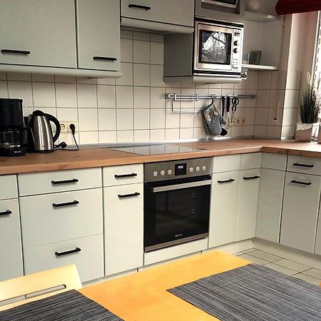 Grosse Ferienwohnung, Auf Bauernhof Mit Ponys Und Pferden, Laendlich Und Ruhig, Naehe Duemmer See Holdorf Exteriör bild
