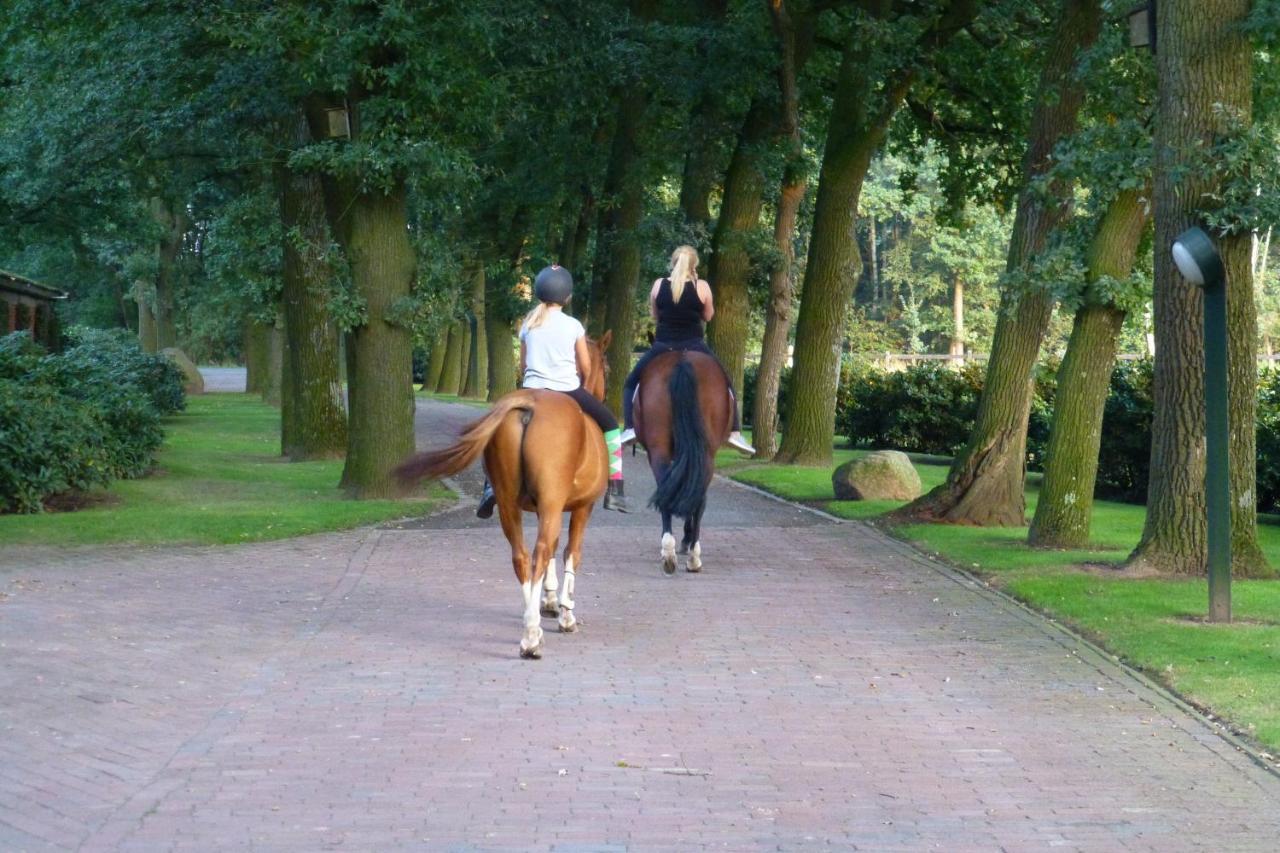 Grosse Ferienwohnung, Auf Bauernhof Mit Ponys Und Pferden, Laendlich Und Ruhig, Naehe Duemmer See Holdorf Exteriör bild