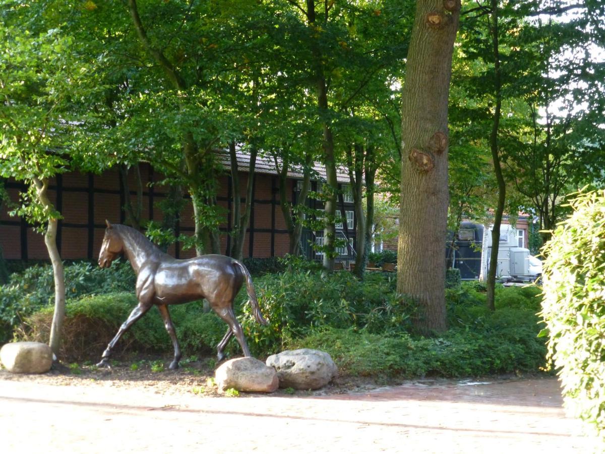 Grosse Ferienwohnung, Auf Bauernhof Mit Ponys Und Pferden, Laendlich Und Ruhig, Naehe Duemmer See Holdorf Exteriör bild