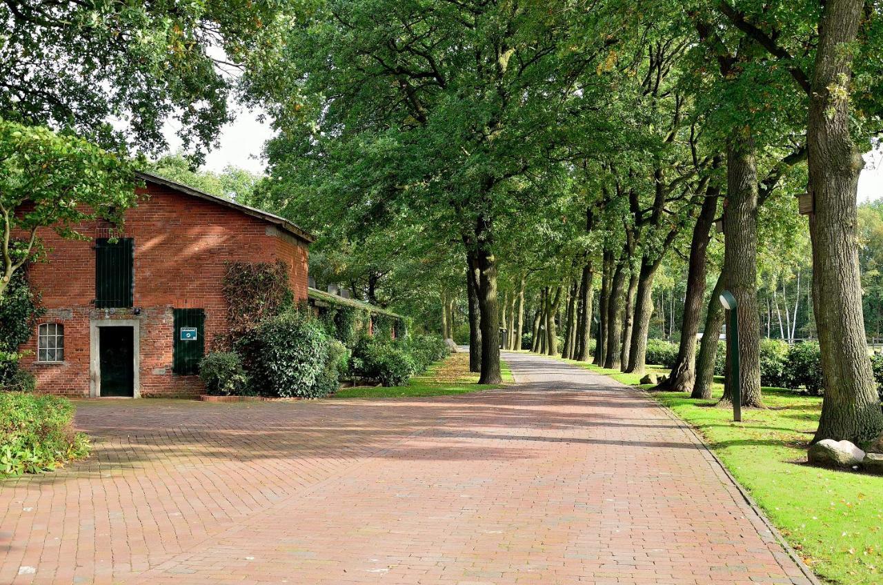 Grosse Ferienwohnung, Auf Bauernhof Mit Ponys Und Pferden, Laendlich Und Ruhig, Naehe Duemmer See Holdorf Exteriör bild