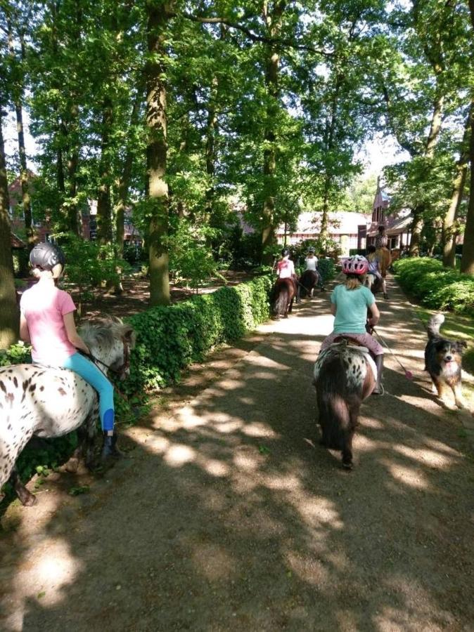 Grosse Ferienwohnung, Auf Bauernhof Mit Ponys Und Pferden, Laendlich Und Ruhig, Naehe Duemmer See Holdorf Exteriör bild